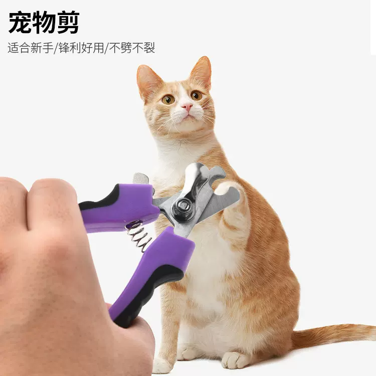 不锈钢宠物美容剪刀大型犬指甲钳猫狗指甲清洁套装宠物专用