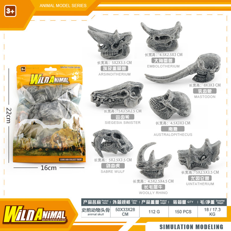 BL - 1247D Cráneo de animal prehistórico 112g