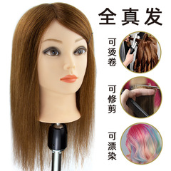 本物の髪の頭のモデルは、カールを染めて練習することができます。