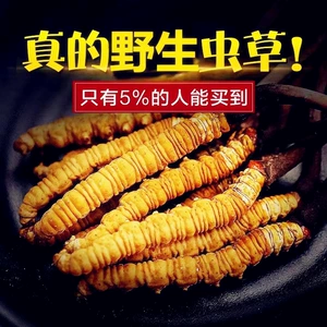 Аутентичный Nagqu Wild Cordyceps Wild Cordyceps Первая фаза Тибетский Nagqu Cordyceps Кордицепс в одной бутылке