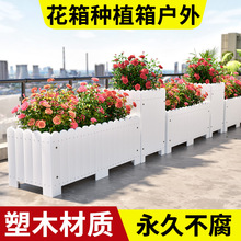 ����Nֲ������֬����Ӻ������̨����ľͥԺ��̖��ľ���ۻ���