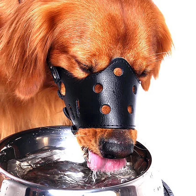 犬の口のカバーが噛まれないようにします。中大型犬の乱れを防ぐ金毛馬犬徳牧の口のカバーが吠えます。|undefined