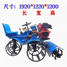 自动进料大豆脱粒机 多功能打谷机 水稻小麦打粒机 高效省工农用