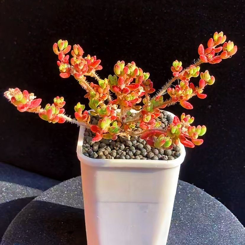 ba2e40c0-9169-41ee-b062-2957f593711b.jpe