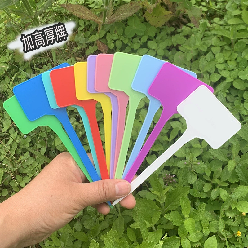 Садоводство этикетка завод этикетка Цветок карты пластик цвет зеленый завод Знак карты Роза карты