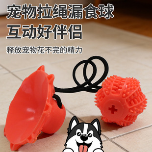 �羳����©ʳ�����ĥ�����X���Ǫ�̎�␞Ӗ�����