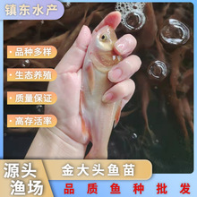 ���|��ˮ�~�Bֳ����^�~���S�����~��t�I�~��ֱ�����w�S�����l