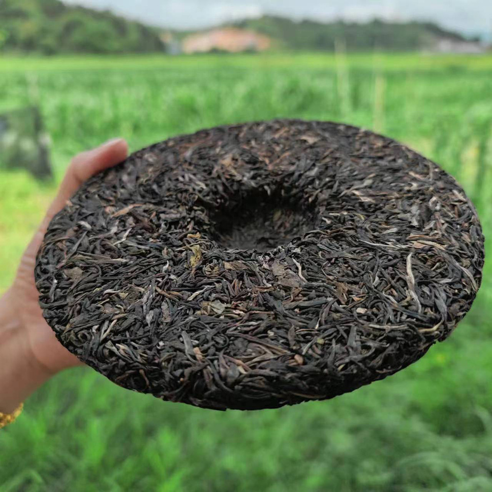 微信图片_20230630130421