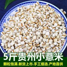 薏仁米小薏米仁新货贵州苡仁配红豆赤豆五谷杂粮粗粮粮油大米厂家