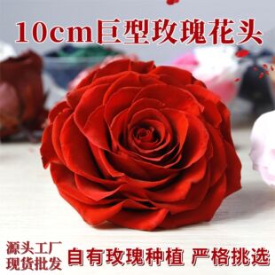 ������õ�廨�^9-10cm�ζ����diy���ĶY�����˹��YƷ���l����