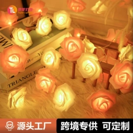 LED装饰灯;室外LED;室内LED