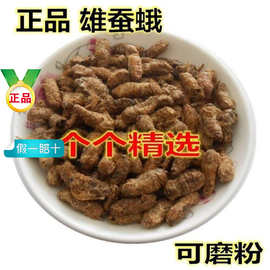 雄蚕蛾中药材500g纯公蚕俄正品新货高含量药用蚕娥晚蚕娥养生酒