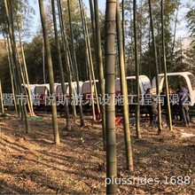 ��܉�|܇ ���^����܉������܉��܇ ݔ���ο���ɽ  ���^ɭ��С��܇