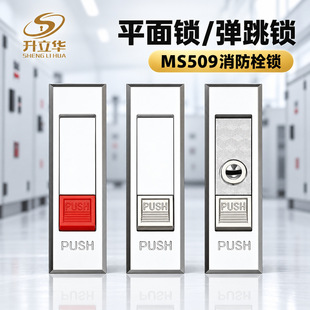 MS509���T�i�Cе���i늙����i����䙙�i����C���T�����i