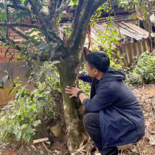 2024�괺�� �ԼҹŘ��@ 500����� ����19�� 357���