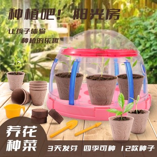 ����ꖹ�Nֲ��ֲ������œ��ֲͯ���^�����LȤζ�ƌW���Nֲ���