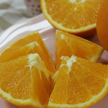 雷波臍橙自產自銷四川大涼山特產新鮮水果現摘現發10橙子一件代發
