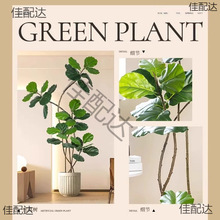 ֲ�����~�������҃���ش��ͷ����Gֲ�[���͏d�p���b��٘�