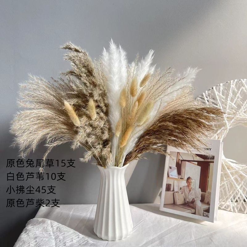 アマゾンはよく売れています。葦の花の花束です。|undefined