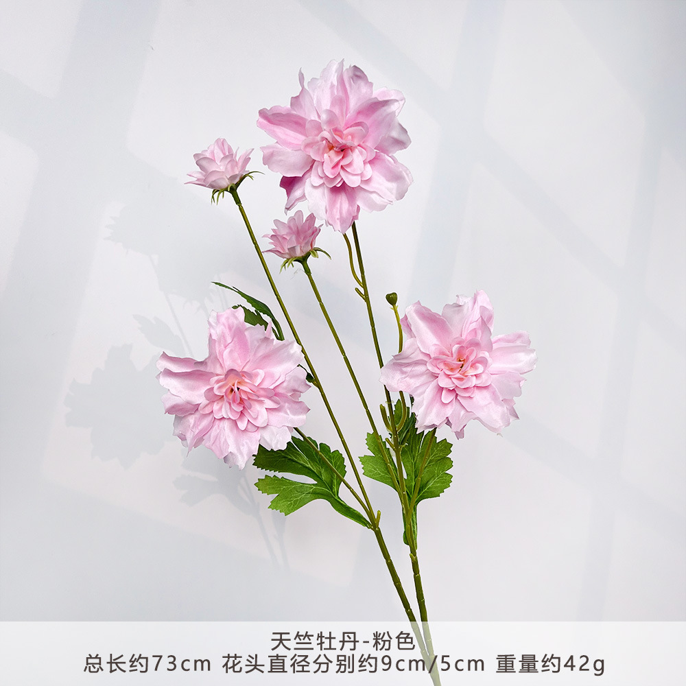 MJ-天竺牡丹-粉色