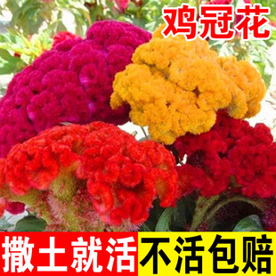 �u�ڻ��ѷN���׻��ͺ������޸��ļ������N�����Ի��ܰ��UͥԺ����