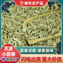 农家小茴香散装500g调味香料大全火锅炖肉烧烤料小茴香籽现货批发