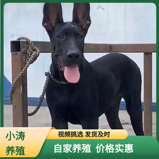 ���ۺ���Ȯ���wī�翴���oԺ�pѪ�y����Ȯ�������Rȫ����Ȯ��Ȯ