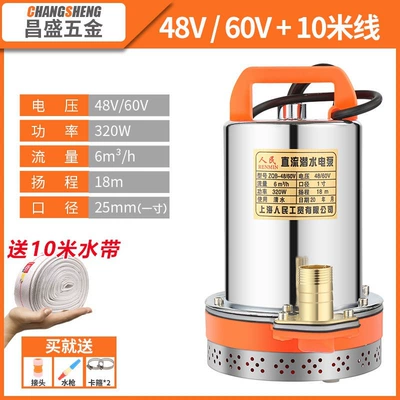 Shanghai People's 12V 24V 48V 60V 72V Dc Submersible Pump Electric Vehicle Battery Water Pump Car Wash (Water pump)