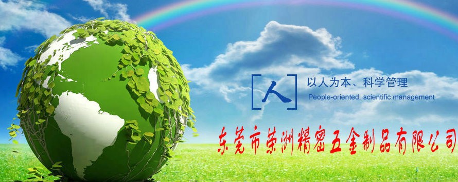 2463504262_1254374194