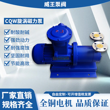 ���Sֱ�NCQW�ʹ������u��CQW20-40���oй© ������ �ߓP�̴�����