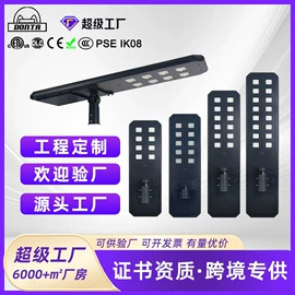 太阳能灯;道路照明灯;投光灯