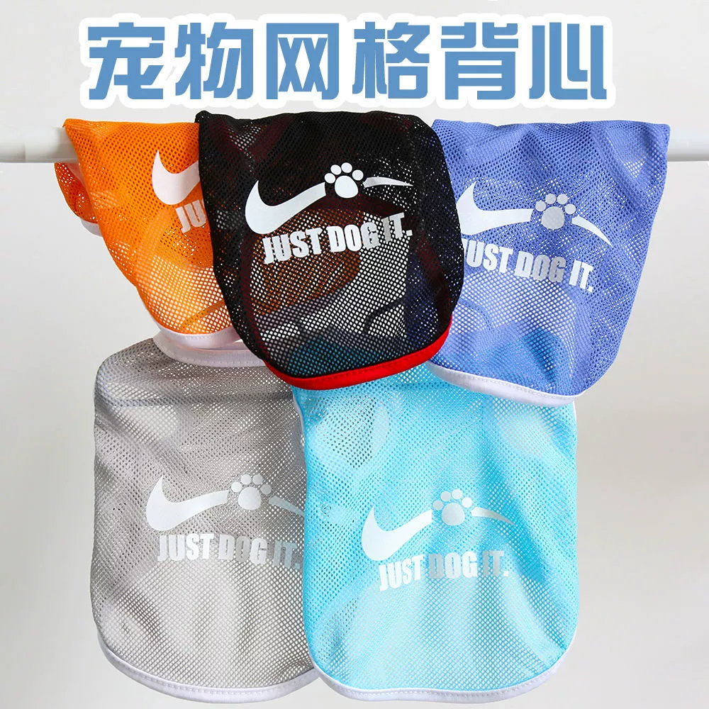 Весенняя и летняя кошка и одежда собаки