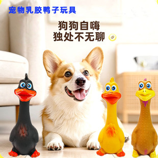 ��ҧ���z�l��� ������� �ֽ�վ���u������ ����ĥ����߰l