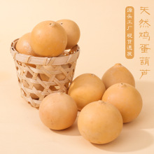 ��Ȼ�A�u�������������J���diy��̲��L���Ͻ≺耳׿۰������