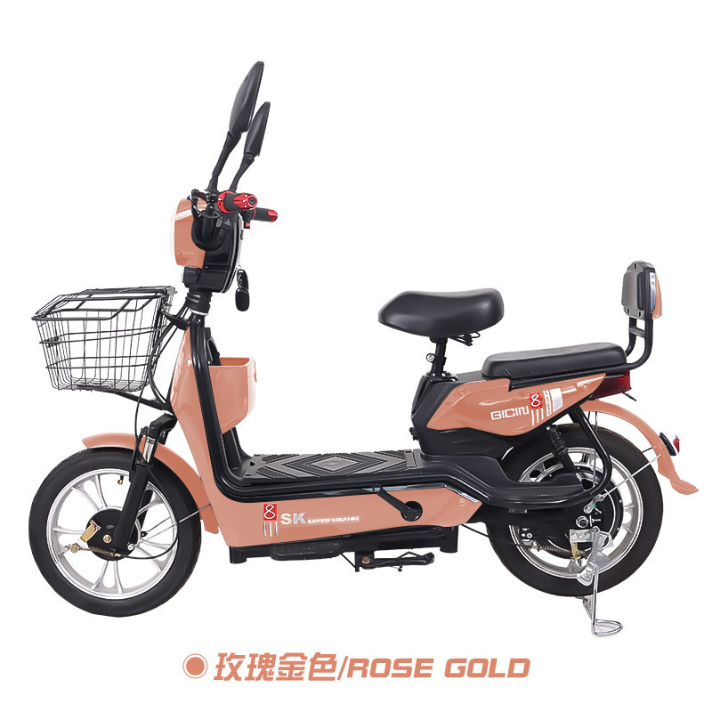 Mayorista de dos ruedas adultos larga duración transfronterizos adultos viajeros doble bicicleta eléctrica bicicletas coche de batería