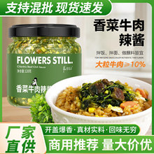批发香菜牛肉辣椒酱酱凉拌面下饭菜酱纯手工黄牛肉火锅蘸酱料商用