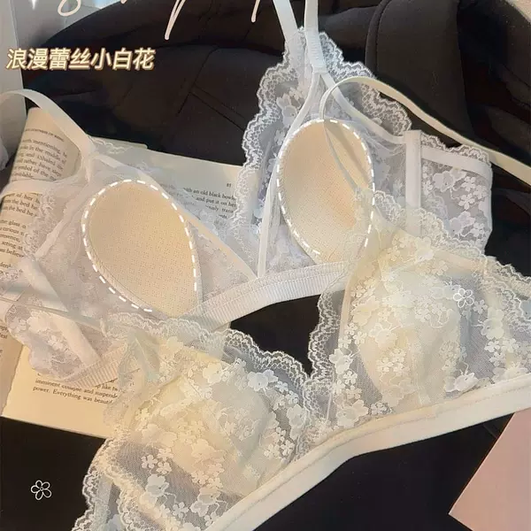 French Lace Sexy Women's Triangle Cup Underwear Small Breasts Summer Ultra-Thin Breathable Beautiful Back Bra