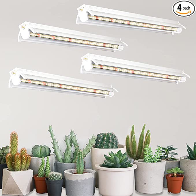 Plant lamp