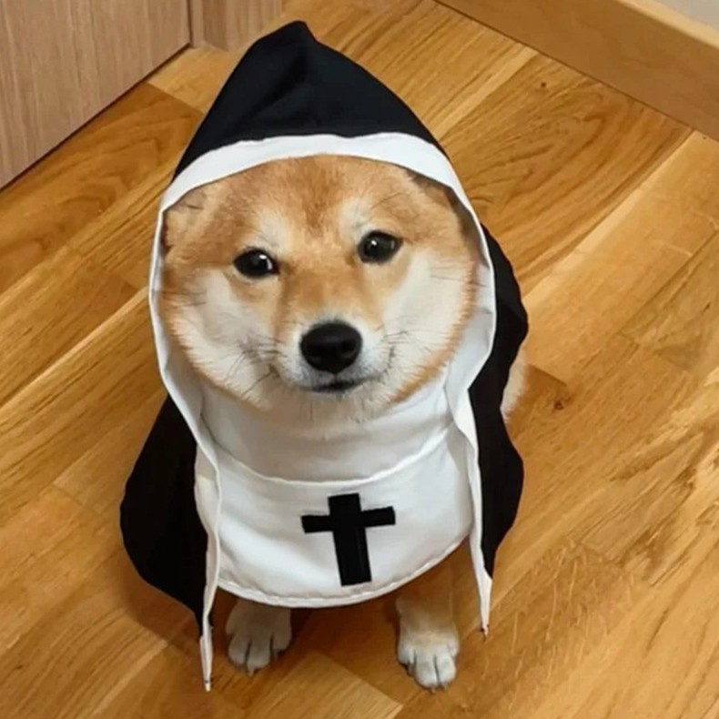 Cross-Border Halloween Cat Nun Costume, Funny Cosplay for Cats and Dogs, Small and Medium-Sized Pet Photo Props for Cats