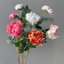 ����͹���צ�� Ʒ�|�ָоջ� �zӰ���� ܛ�b��ˇ �Ӱ��g��Д[��