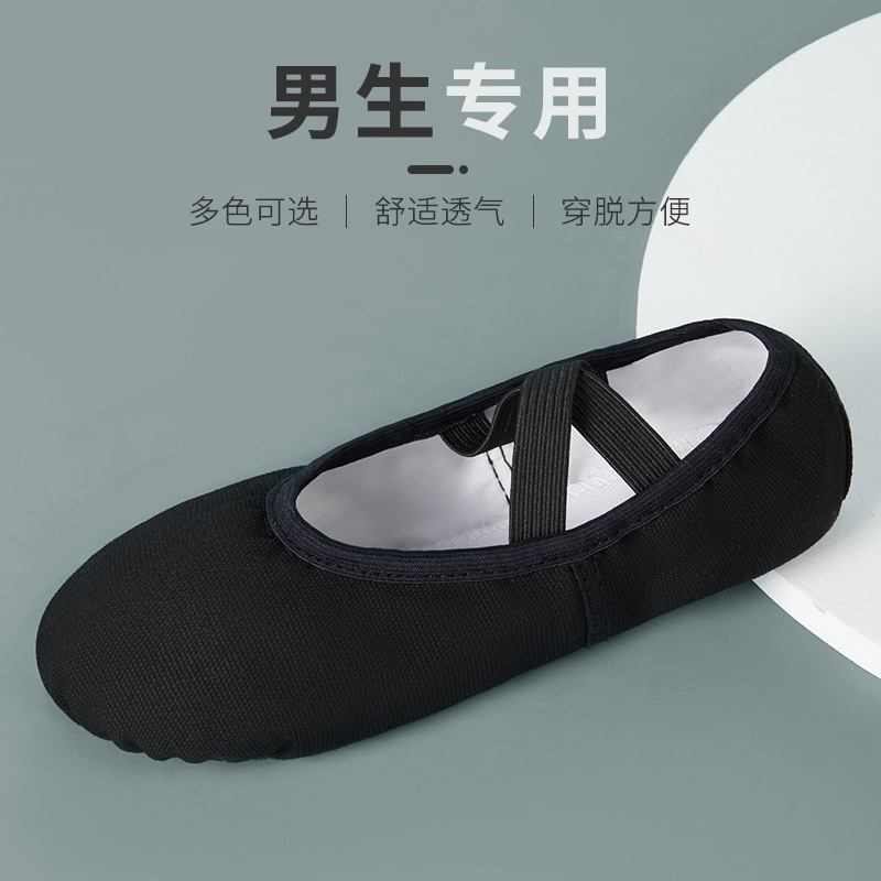 High-Quality Children's Dance Shoes for Boys, Soft-Soled Ballet Cat Paw Design, Lace-Free, for Practice and Performance, Suitable for Boys and Children High-Quality Children's Dance Shoes for Boys, Soft-Soled Ballet Cat Paw Design, Lace-Free, for Practice and Performance, Suitable for Boys and Children