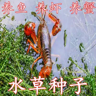 �~��ˮ�ݷN����ˮ����������݆�~����С���r�~з�Bֳˮ�����ļ�