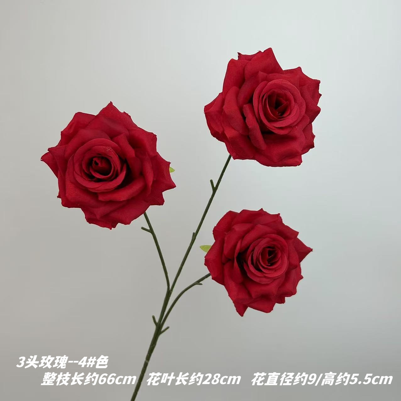 4 # 색상