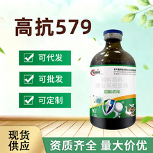 �����������߿�579  �S��ֱ�I���l���l�l؛���|����