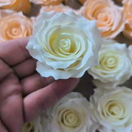 香皂花;鲜花花艺制品;仿真绿植