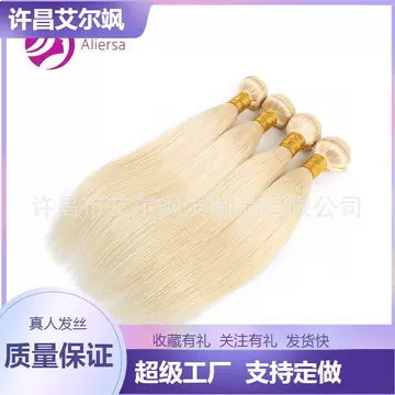 Xuchang wig factory 613#straight bundles straight real wig hair curtain cross-border a generation of hair - ShopShipShake