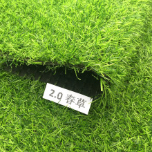 M01��������Ƥ��̺ʽ��ƺ�����Y���������ɫ������b�ٲ�Ƥ