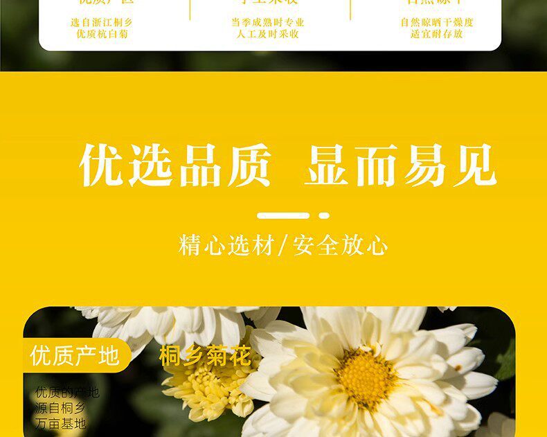 Hang Bai Ju Chrysanthemum Tea 500g Premium Tongxiang White Chrysanthemum Buds for Daily Brewing key features