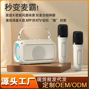 Wireless speakers, handheld microphone, bluetooth, T33