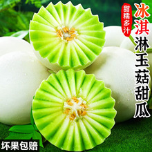 海南冰淇淋玉菇甜瓜新鲜水果10斤特大果应当季绿宝石香瓜蜜瓜整箱
